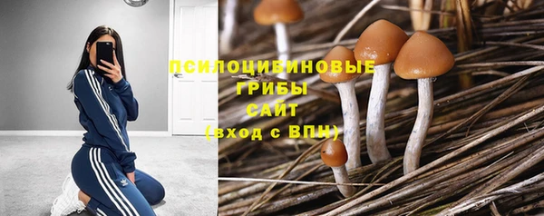 круглые Алексеевка
